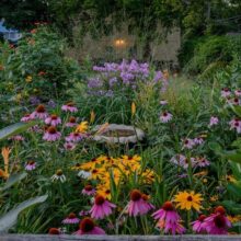 Gardens That Give Back